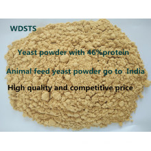 Animal Yeast Powder for Fodder Poultry Feed